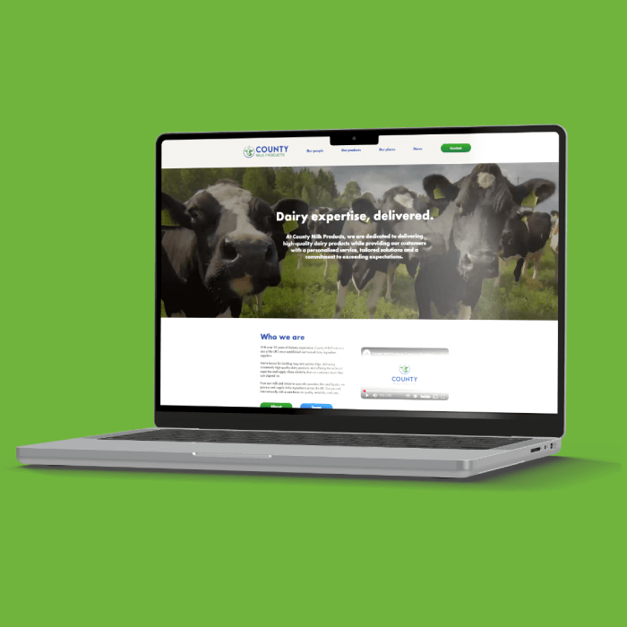 IFM Engage Brand Guideline Showcase